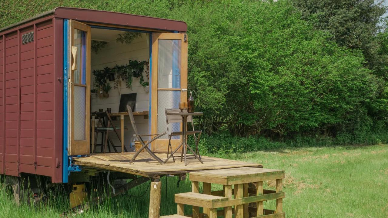 بالكومب Quirky Vintage Horsebox Conversion With Stunning Views Of Ardingly Reservoir المظهر الخارجي الصورة