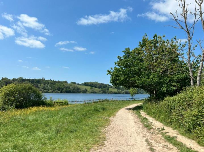 بالكومب Quirky Vintage Horsebox Conversion With Stunning Views Of Ardingly Reservoir المظهر الخارجي الصورة